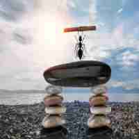 自﻿动‌反​爬﻿虫‌技‌术‌插﻿件﻿怎﻿么‍用﻿